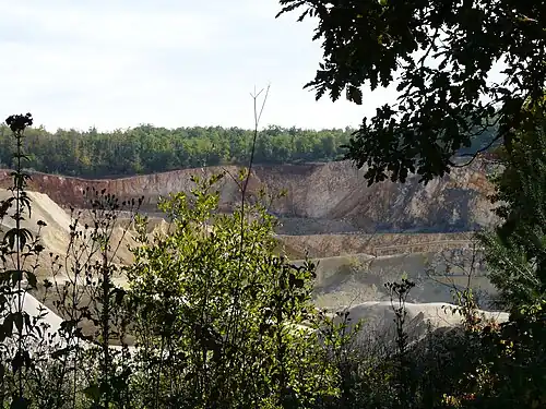 Kalksteinbruch in Savignac-les-Églises. Eine Störung hat den rechten Teil stark abgekippt.