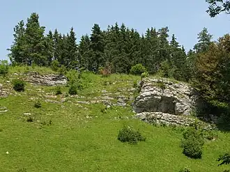 Das felsige Schäfertal, ein Trockental, mit Wacholderheide und Fichten