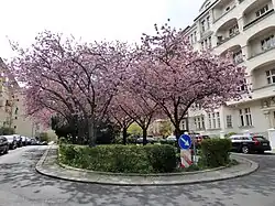 Hewaldstraße Haus aus der Gründerzeit