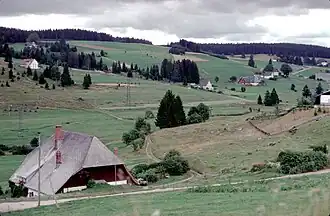 Quellgebiet der Gutach in den Hochmulden bei Schönwald