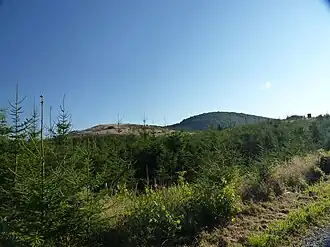 Blick auf den Schüffel (Hintergrund, links) und die Alte Burg (Hintergrund, rechts)