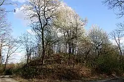 Grabhügel in der Gruppe IV