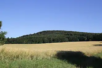 Der Schanzenkopf oberhalb von Alzenau