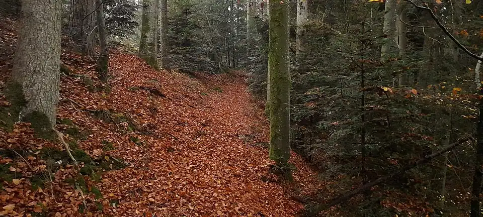 Eine topographische Abstufung des Bergsporns könnte auf einen zuvor erodierten Burggraben hindeuten. Ein angelegter Pfad erscheint hier unplausibel, weil diese Abstufung nicht mit der Talebene verbunden ist.
