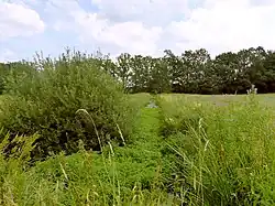 Schapener Graben, Blick stromaufwärts zum ehemaligen Bahndamm, 2016