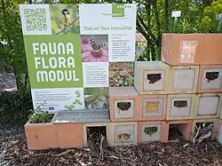 Schaubilder zur Artenvielfalt in den Menzingergärten