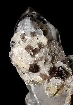 Kleine Scheelitkristalle auf Quarz unter Tageslicht…