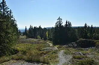 Schieferbruch auf dem Fellberg – die Natur holt sich den Bruch allmählich zurück
