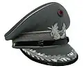 Schirmmütze eines Stabsoffiziers des Heeres ab ca. August 1962[20] mit silbergrauem Randband