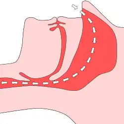Freie Atmung ohne Obstruktion