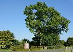 Ehrenmal in Büttel