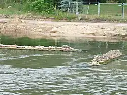 Schleusenreste am Nordufer des Elbe-Havelkanals Sommer 2015