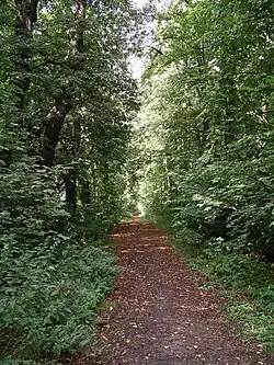 Schliestedter Schlosspark