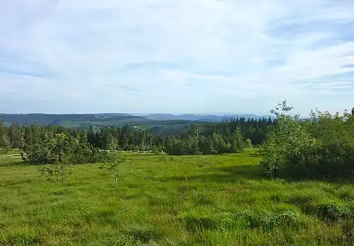Blick über die Hochfläche des Schliffkopfs südwärts