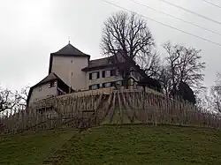 Schloss Girsberg bei Guntalingen