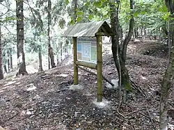 Burgstall Schlosshügel