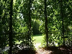 Als Rotunde angelegte Gloriette