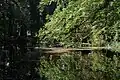 Der Schlossparkteich