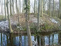 Zentraler Turmhügel von Schmoldow