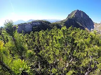 Schneeböden vom Seebühel in Richtung Risserkogel