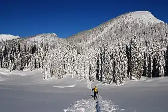 Blick von der Mayralm zum Mayrwipfl