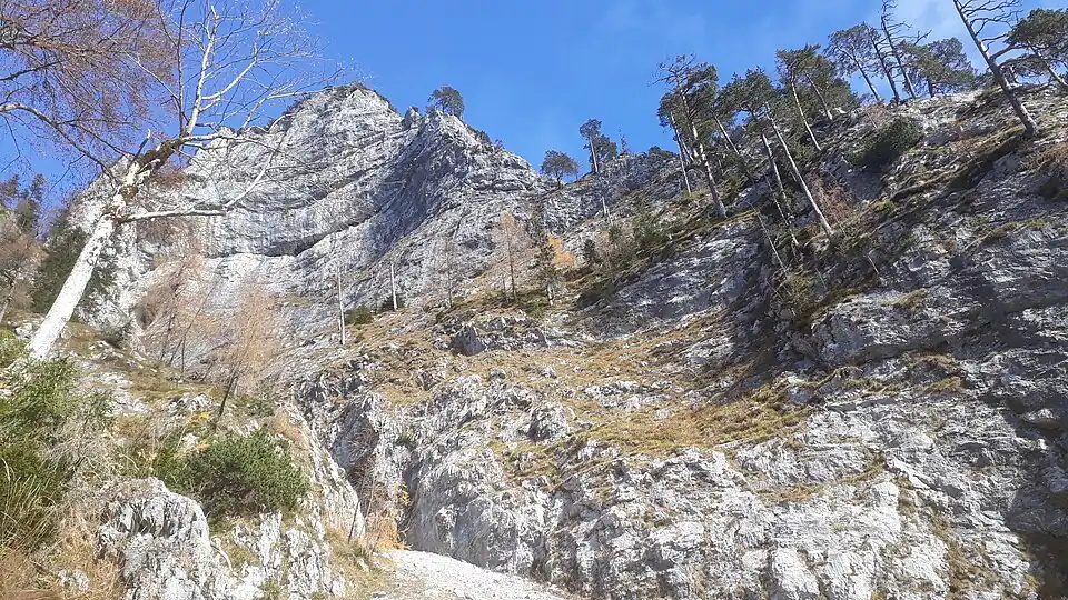 Die Westwand der Schlösselschneid aus massivem, flach liegenden Wettersteinkalk.