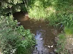 Schneidersbach im Haimendorfer Forst