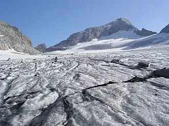 Das Stampflkees mit dem Schrammacher