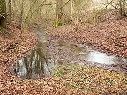 Quelltöpfe der Schunter