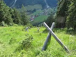 Sanierungsfläche im durch Wildschäden beeinträchtigten Schutzwald