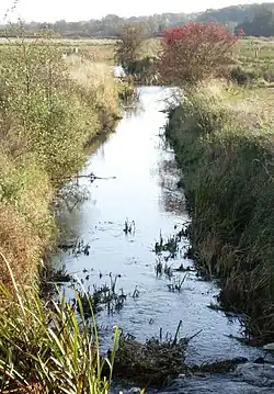 Die Schwartau bei Gothendorf (Süsel) kurz vor dem Barkauer See