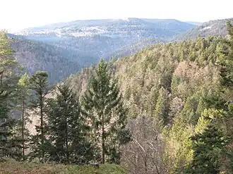 Schwarzatal in dessen Talsohle das Kraftwerk Eichholz lag. Im Hintergrund Häusern und die Stahlrohre vom Schwarzastollen zum Kraftwerk Häusern.