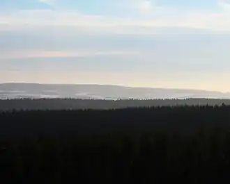 Blick vom Weißen Stein im Zitterwald südwärts zum Schwarzen Mann mit Turm des Senders Schnee-Eifel (mittig; 2006)