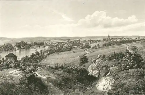 Weinbau am Kiliansberg, oberhalb des Mains, im Jahre 1847