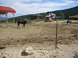 Reitstation und Lodges