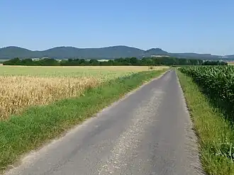 Blick von einem Fahrweg bei der Grillhütte Hertingshausen (am Hertingshausener Bach, nahe K 22) westnordwestwärts zu den Langenbergen: Bensberg (links), Laufskopf (mittig links), Schwengeberg (mittig rechts) und Burgberg (rechts)