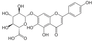 Strukturformel von Scutellarin