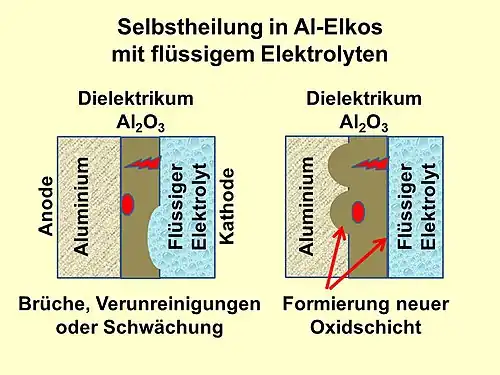 Ähnlich wie bei Standard.Al-Elkos mit flüssigem Elektrolyten heilt bei Hybrid-Polymer-Al-Elkos die Oxidschicht nach Anlegen einer Spannung durch Nachformierung aus, indem der flüssige Elektrolyt den Sauerstoff zur Verfügung stellt.