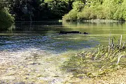 Der Stausee Lago di Vigi vom Eintritt des Vigi gesehen