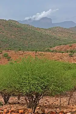 Baynesberge im Hintergrund