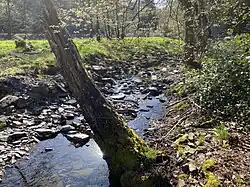 Aue des unteren Sengbachtals