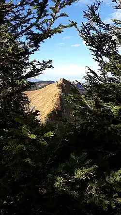 Seraspitz vom Weg zum Pfrondhorn gesehen