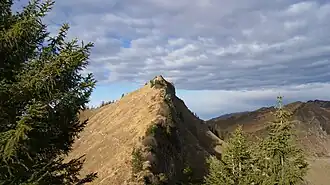 Seraspitz, vom Weg zum Pfrondhorn gesehen