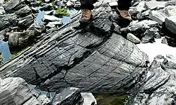 Ein etwa 2 m langer shatter cone in ordovizischen Kalksteinen des Impaktkraters von Charlevoix in Québec, Kanada
