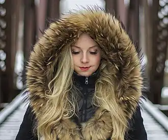 Kapuzenverbrämung, Seefuchsfell (2017)