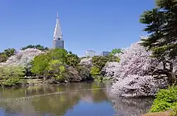 Das Gebäude vom Shinjuku Gyoen aus gesehen