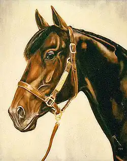 Shirley Heights, Öl auf Leinwand