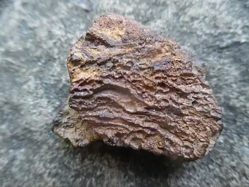 So genannter Sidérolithique, gefunden bei Les Cazes