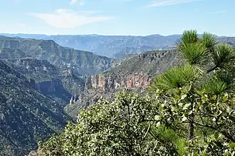 Die Sierra Madre Occidental in der Nähe der Kupferschlucht