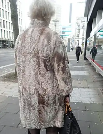 Mantel (Buchheim, Hamburg, 2025)